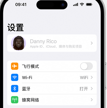 简阳appleID维修服务iPhone设置中Apple ID显示为灰色无法使用