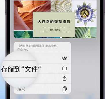 简阳apple维修中心分享iPhone文件应用中存储和找到下载文件