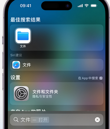 简阳apple维修中心分享iPhone文件应用中存储和找到下载文件