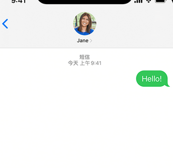 简阳apple维修iPhone上无法正常发送iMessage信息