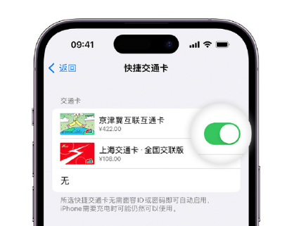 简阳apple维修点分享iPhone上更换Apple Pay快捷交通卡手绘卡面 