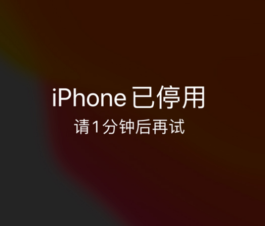 简阳苹果手机维修分享:iPhone 显示“不可用”或“已停用”怎么办？还能保留数据吗？ 