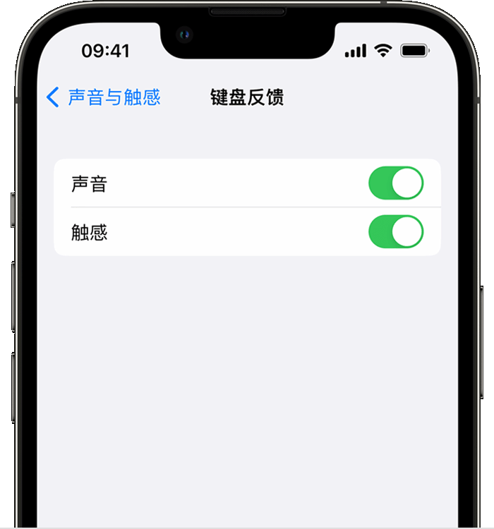 简阳苹果14维修店分享如何在 iPhone 14 机型中使用触感键盘 