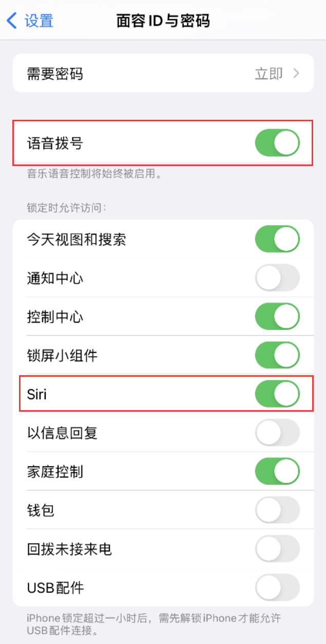 简阳苹果维修网点分享不解锁 iPhone 的情况下通过 Siri 拨打电话的方法 