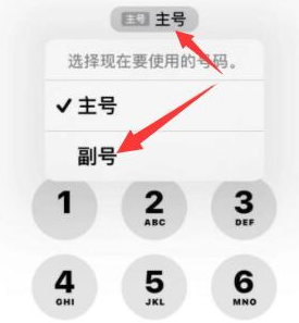 简阳苹果14维修店分享iPhone 14 Pro Max使用副卡打电话的方法 