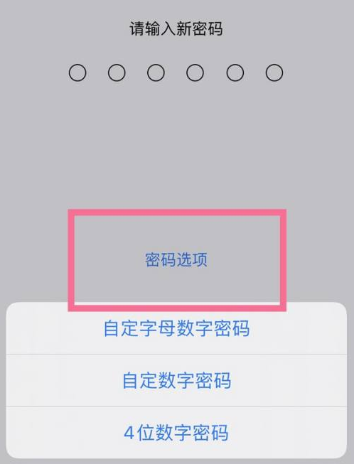 简阳苹果14维修分享iPhone 14plus设置密码的方法 