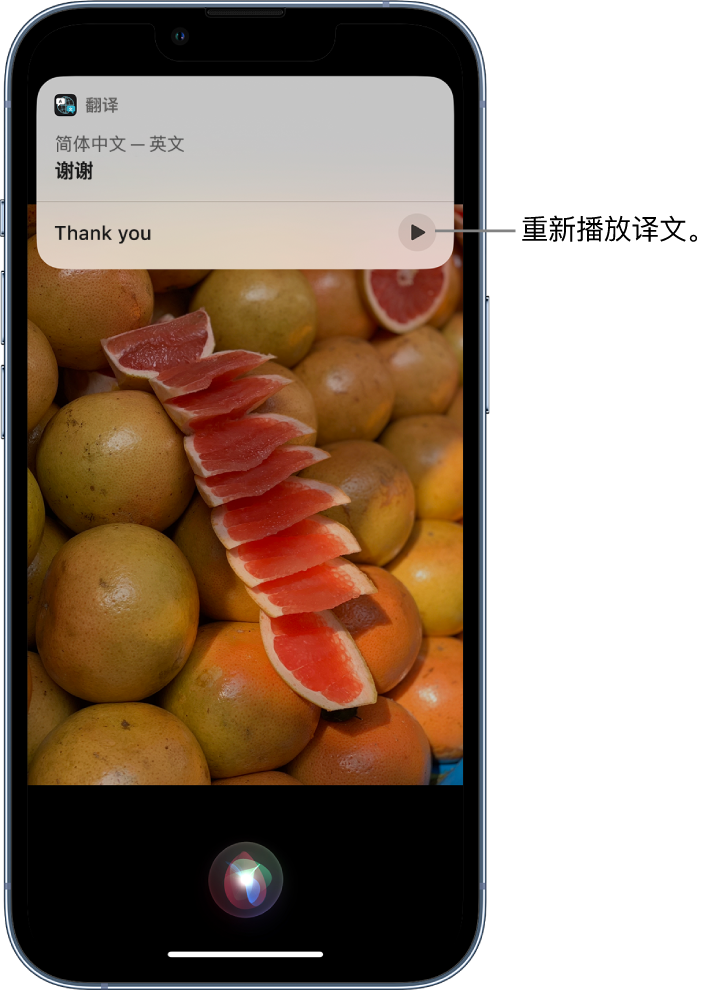 简阳苹果14维修分享 iPhone 14 机型中使用 Siri：了解 Siri 能帮你做什么 