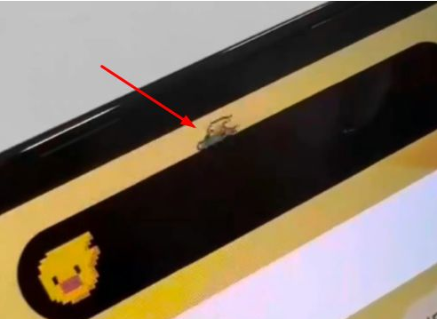 简阳苹果14维修分享iPhone 14 Pro Max灵动岛怎么养宠物 