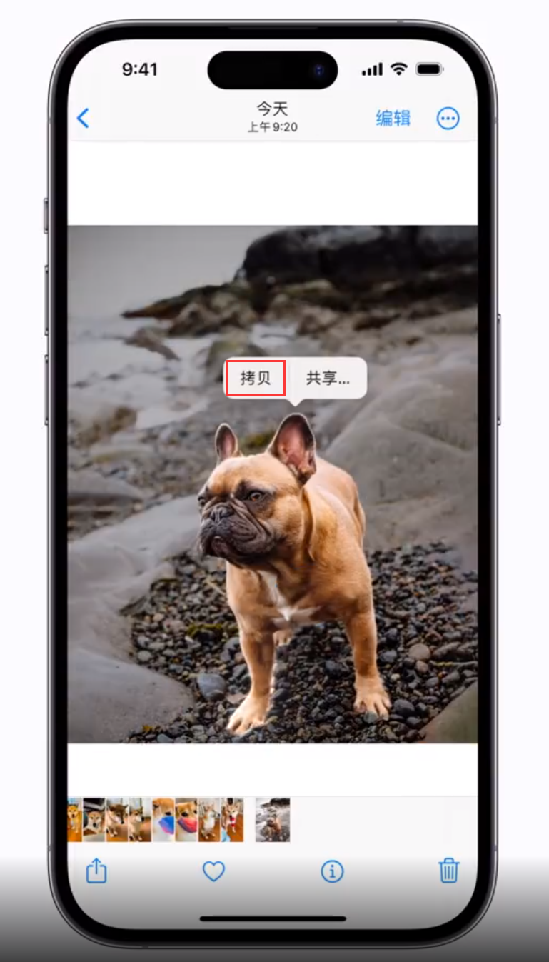 简阳 苹果手机维修分享iOS 16 “照片”应用更新内容与改进汇总 