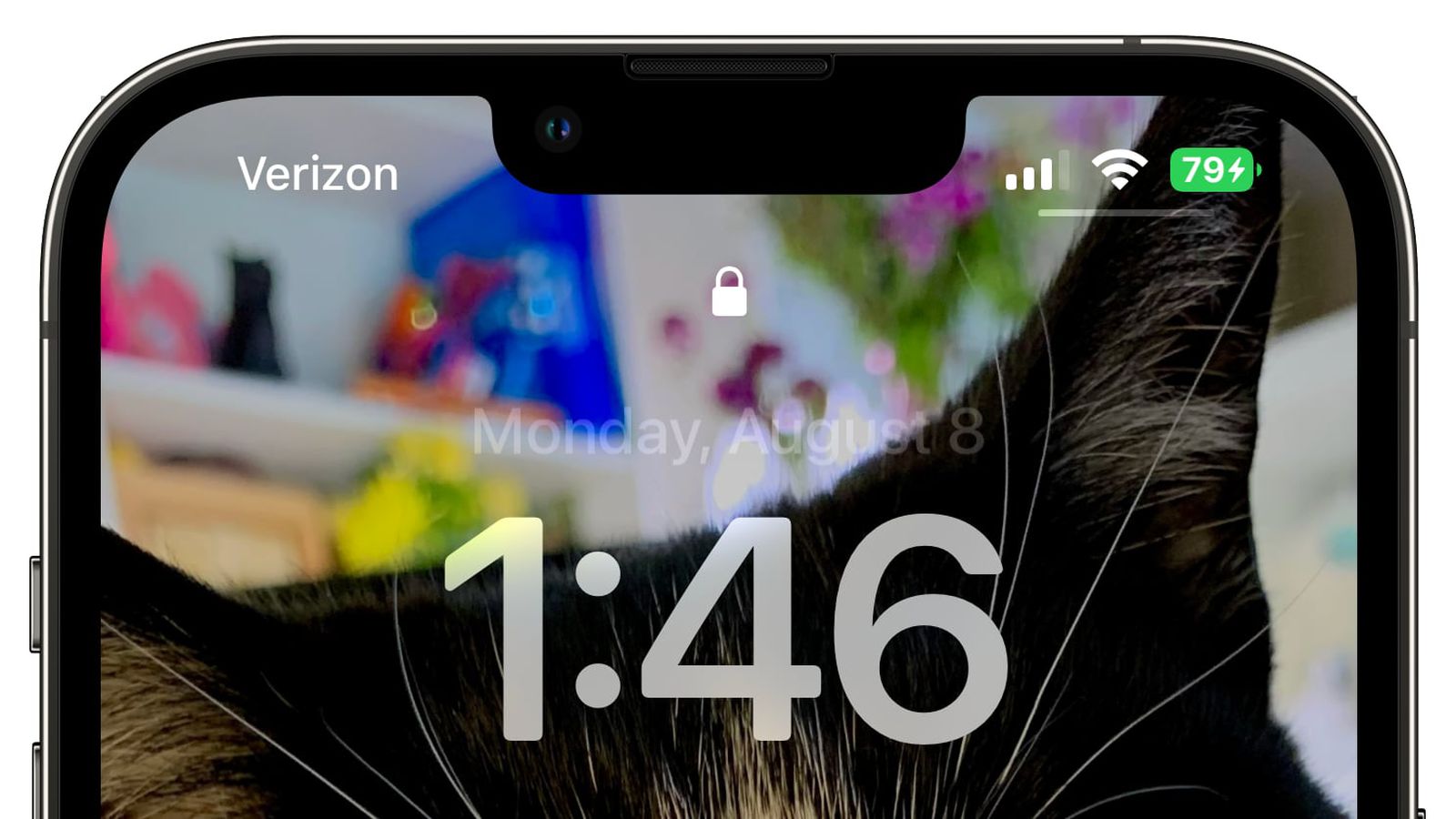 简阳苹果手机维修分享iOS 16 beta 5 支持状态栏显示电池百分比，如何开启？支持哪些机型 