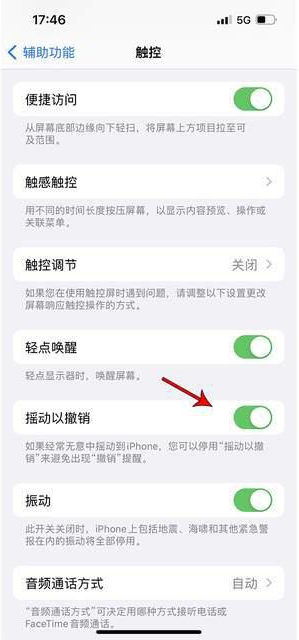 简阳苹果手机维修分享iPhone手机如何设置摇一摇删除文字 