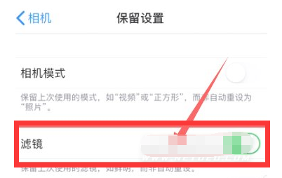 简阳苹果13维修分享iPhone13拍照有绿点是怎么回事 