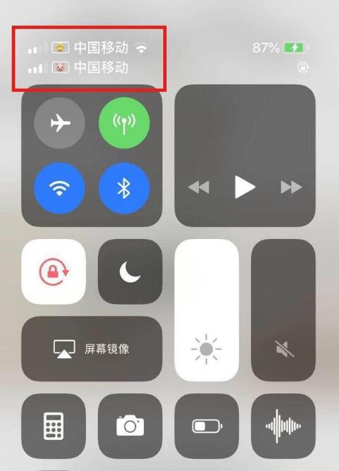 简阳苹果手机维修分享为 iPhone 12 双卡设置标签 